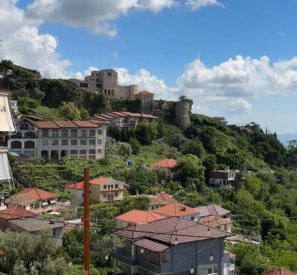 Z Art Hotel Krujë